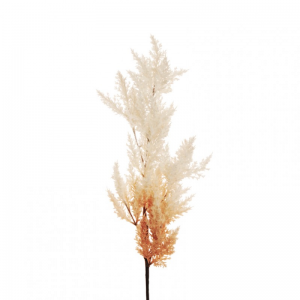 PAMPAS H94 AU - brown/cream *