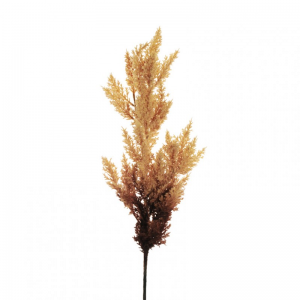 PAMPAS H94 AU - brown *