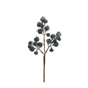 MIRTILLO ramo X3 H26 MI - black *