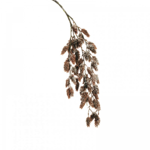LUPPOLO RAMO innev.H117 FN-brown/white