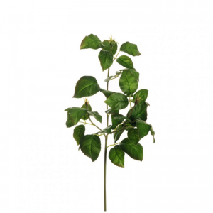 FOGLIA DI ROSA X3 H65 FO - green*