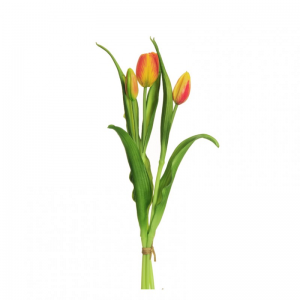 TULIPANO rubber X3 H40 TU - orange *