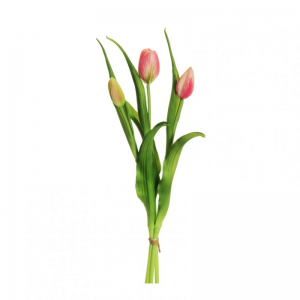 TULIPANO rubber X3 H40 TU-pink/cream*