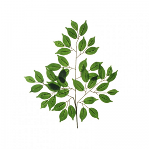 FOGLIA FICUS BENJAMIN ramo X3 H59 FO-gr*