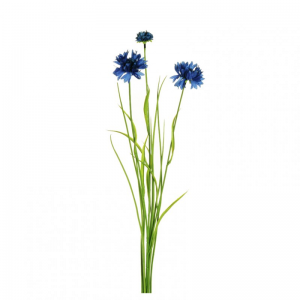 FIORDALISO X3 H68 FI - blue*