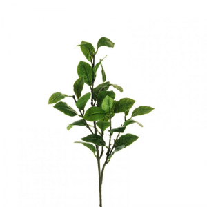FOGLIA LIMONE ramo H65 FO - green *