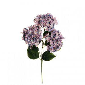 ORTENSIA arborescens X3 H70 OR-lavend*