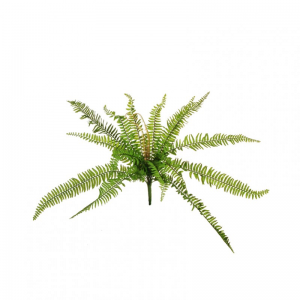 FELCE BOSTON H56 FE -  green *