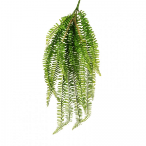 FELCE BOSTON cadente H92 CD -  green *