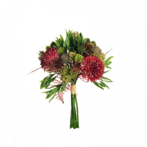 GOMPHRENA MAZZO H35 BU - burgundy *