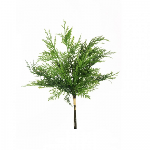 PINO CIPRESSO mazzo X3 H48 PI - green