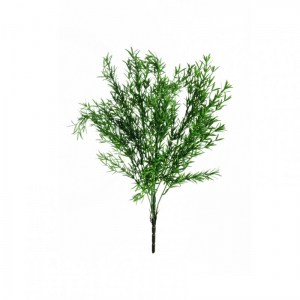 ROSMARINO MAZZO X7 H58 BU - green *
