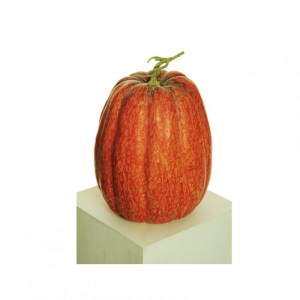 ZUCCA POLIST. D27 H35 VERDURA - orange