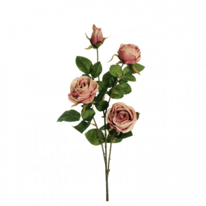 ROSA RAMO X4 H70 RO - pink *