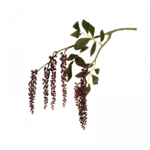 FITOLACCA CADENTE X2 H75 CD - burgundy *