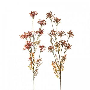 SORBUS GIAPPONESE X5 H84 2ASS. AU *