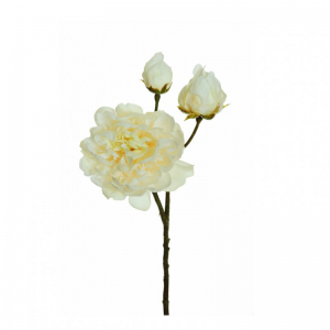 PEONIA X3 H60 PE - white *