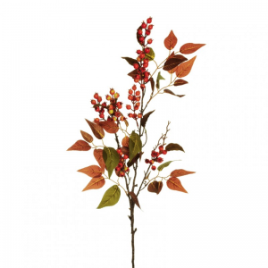 ROSA CANINA X3 H108 RO - orange *