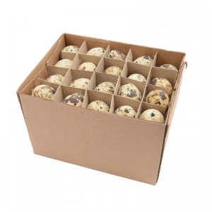 BOX UOVO QUAGLIA 10 cm PZ 60