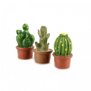CACTUS RES. D1,5XH3CM - 6 pz