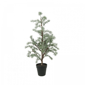 ALBERO LARICE C/VASO D35 H80cm - green