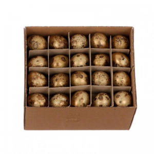 UOVO DI QUAGLIA D2,2 cm 60pz-gold