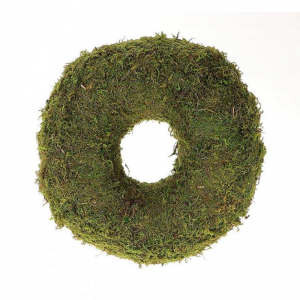 CORONA ASIA MOSS D38cm - green
