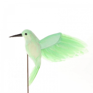 PICK COLIBRI 40X14XH20 - green