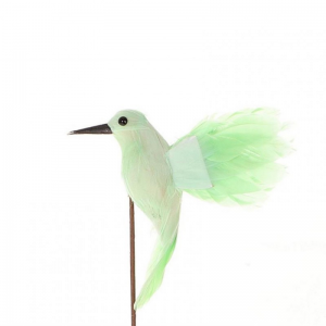 PICK COLIBRI 30X10XH12 - green