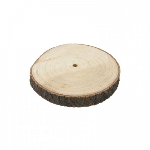 SEZIONE TRONCO APOLLONIA D29cm