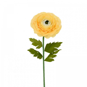 RANUNCOLO GIGANTE D50 H200 - yellow