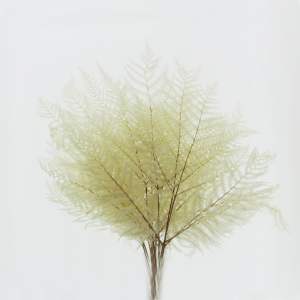 FELCIONE NATURALE H50/60cm PZ10 - bianco
