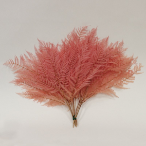 FELCIONE NATURALE H50/60cm PZ10 - rosa