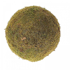 SFERA FLAT MOSS D50cm - green