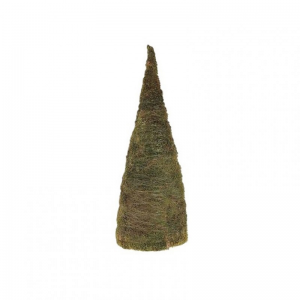CONO FLAT MOSS D30 H80 - green