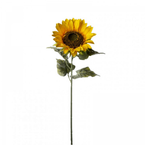 GIRASOLE ROYAL h90 cm GI -yellow *