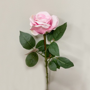 ROSA H65 CM RO -rosa *