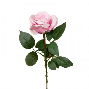 ROSA H65 CM RO -rosa *
