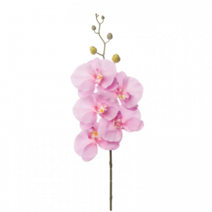 ORCHIDEA PHALAENOPSIS 82cm OR-lavender*
