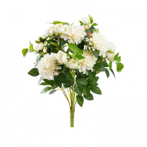 DALIA BUSH X15 H50 CM DA -cream *