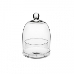 TERRARIUM CUPOLA VETRO D11 H17 CM
