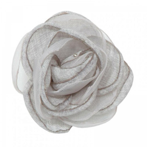 ROSA ORG. 6cm PZ 6 - grey NETTO/outlet