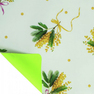 BOBINA CHANELLE 40MY 1,00X25mt-v.pisello