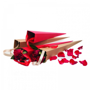 CONI ROSE BAG CARTA 7X68cm 10pz - rosso