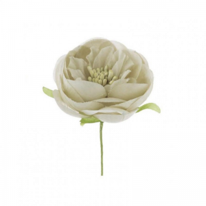 RANUNCOLO 5X13 cm pz12 - beige