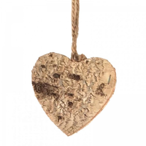 CUORE CORTECCIA CM 10