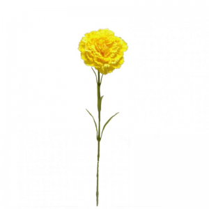GAROFANO X1 H60 cm GA - yellow*