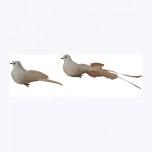 S/12 COLOMBE C/CLIP CM 19
