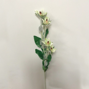 FIORI DI CAMPO H57cm FC -white green *
