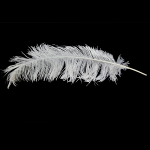 PIUME STRUZZO CM50/60 PZ5-bianco